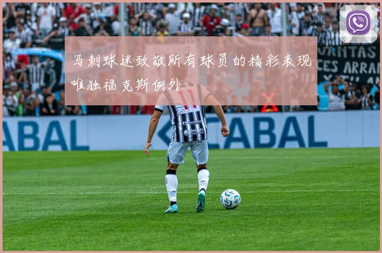 马刺球迷致敬所有球员的精彩表现唯独福克斯例外