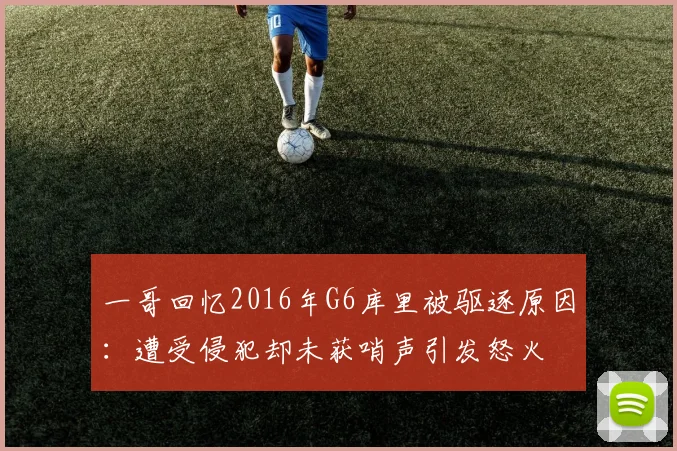 一哥回忆2016年G6库里被驱逐原因：遭受侵犯却未获哨声引发怒火
