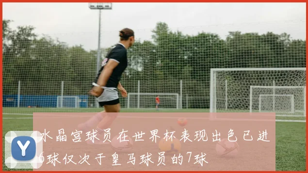 水晶宫球员在世界杯表现出色已进6球仅次于皇马球员的7球
